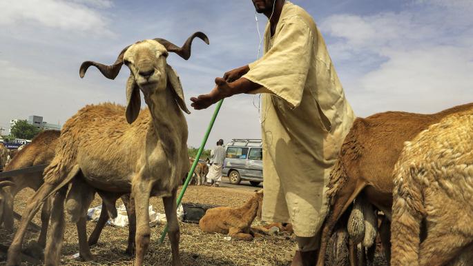 قيود على تجارة الماشية في السودان