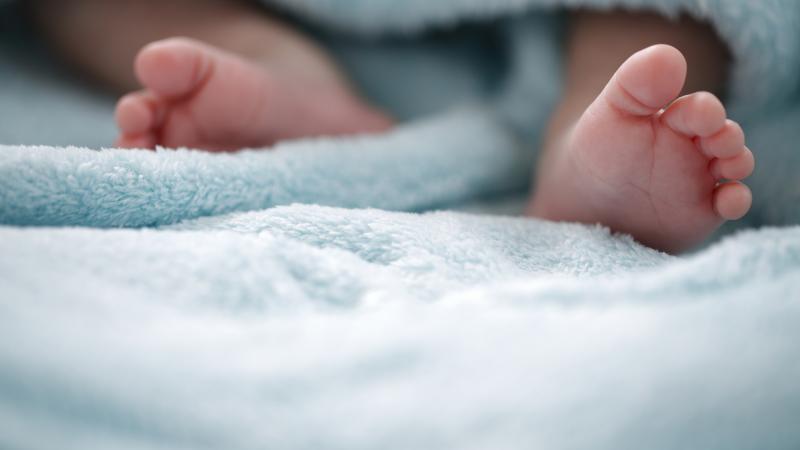 خطوة واعدة.. زراعة قلب “جزئية” لمن يعانون عيوبًا خلقية من الأطفال