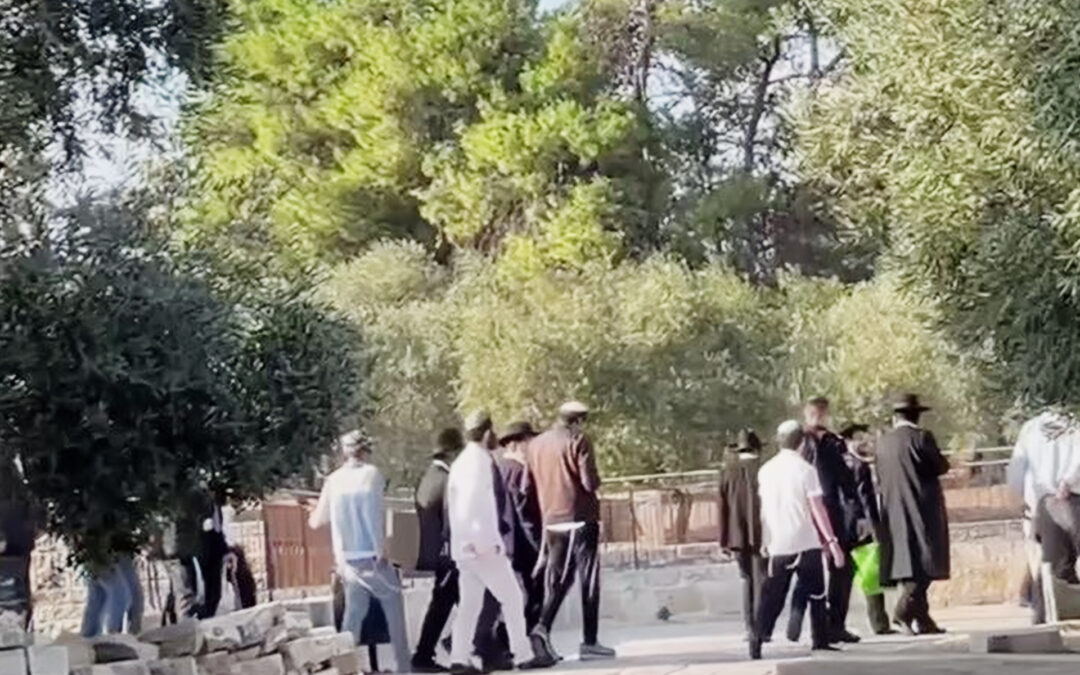 مستوطنون يقتحمون الأقصى والاحتلال يهدم منازل في عناتا بالقدس