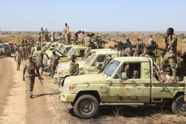 الجيش السوداني يعلن تنفيذ عمليات عسكرية في عدة محاور في ولاية النيل الأزرق جنوب البلاد