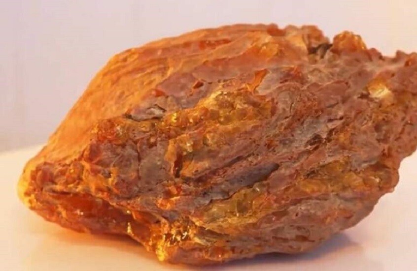 العثور على قطعة كهرمان وزنها 1.5 كيلوغرام في كالينينغراد الروسية