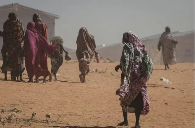 تحقيق أممي: القتل والاغتصاب والتجويع في الفاشر يرقى إلى الإبادة الجماعية